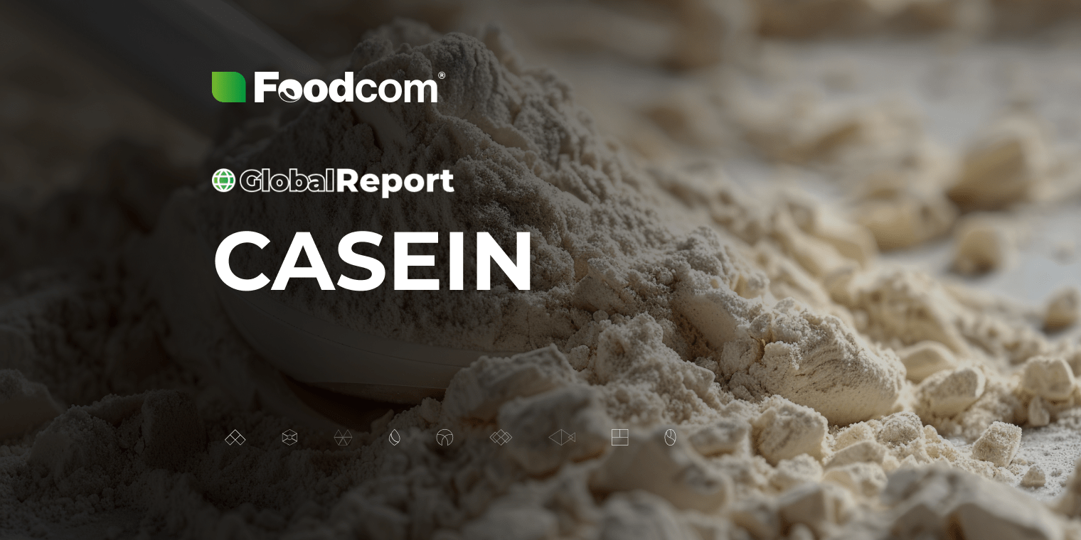 Casein market overview 2025 [Global Report]