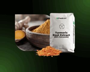 turmeric root extract turmeric root extract