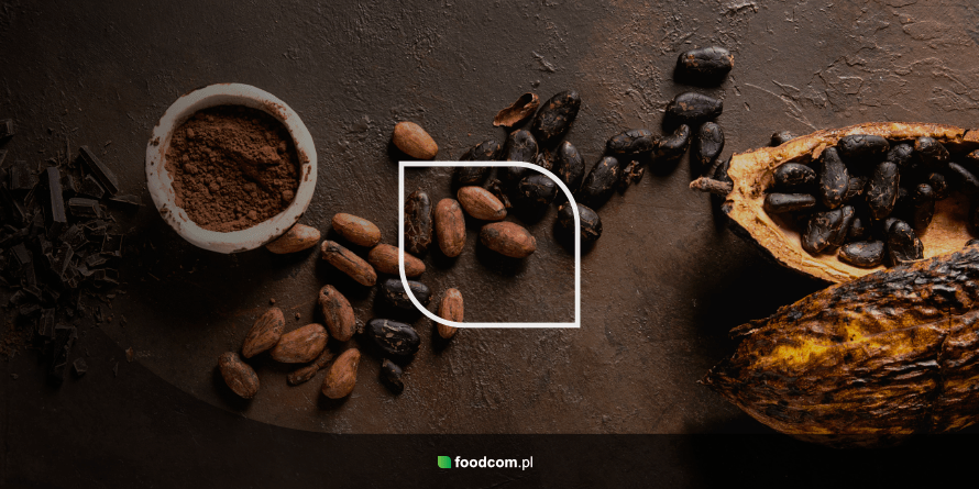 Dlaczego warto inwestować w kakao organiczne? 