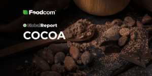 Global Report Cocoa 2025 Global Report Cocoa 2025