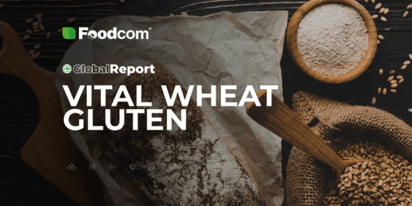 Global Report VWG Global Report VWG