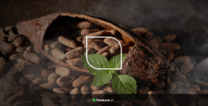 Kakao organiczne - czym jest?