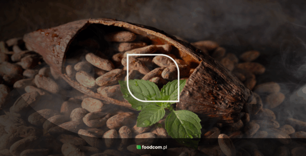 Kakao organiczne - czym jest? Kakao organiczne - czym jest?