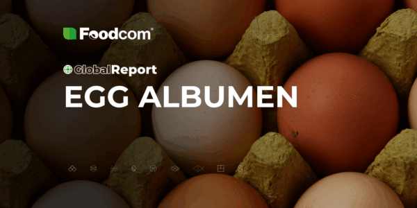 global egg albumen global egg albumen