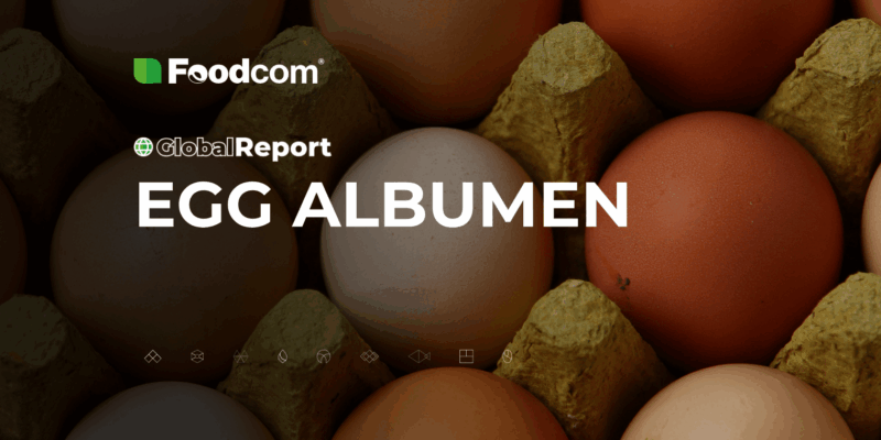 global egg albumen global egg albumen