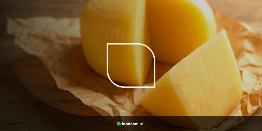 właściwości sera gouda