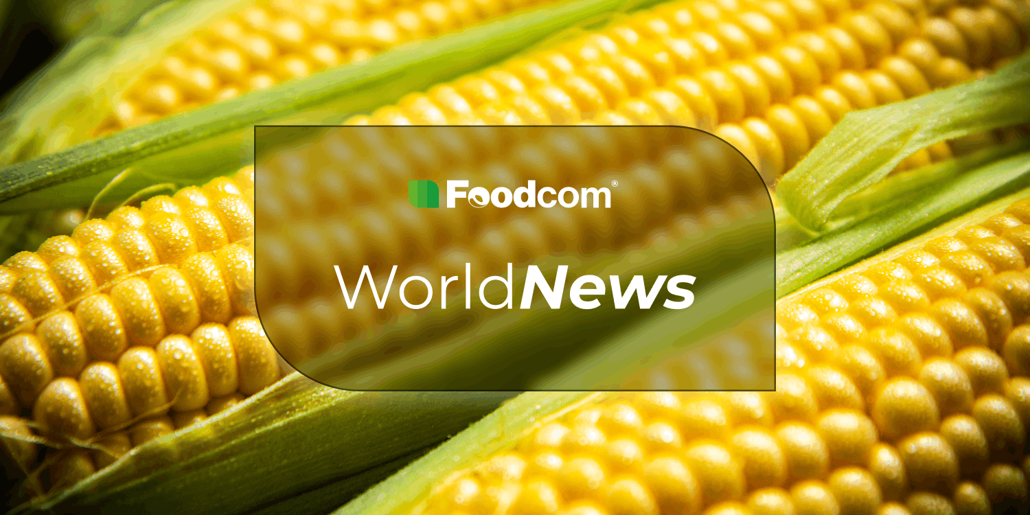 France’s corn harvest could drop by nearly 30%. Europe will need to import more. France’s corn harvest could drop by nearly 30%. Europe will need to import more.