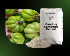 Garcinia cambogia-extract Garcinia cambogia-extract