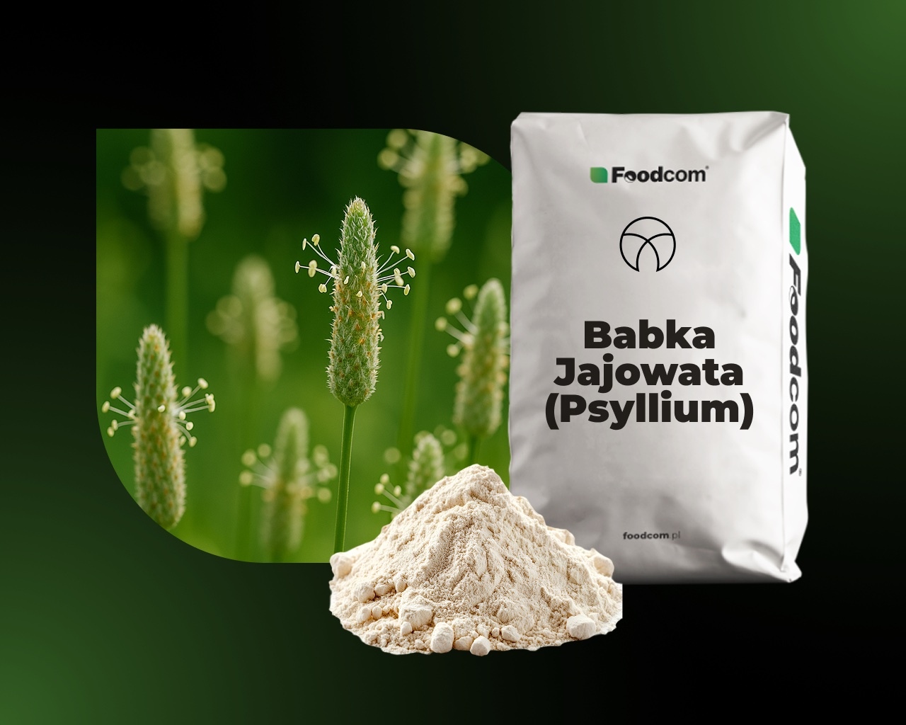 Psyllium (Babka Jajowata)